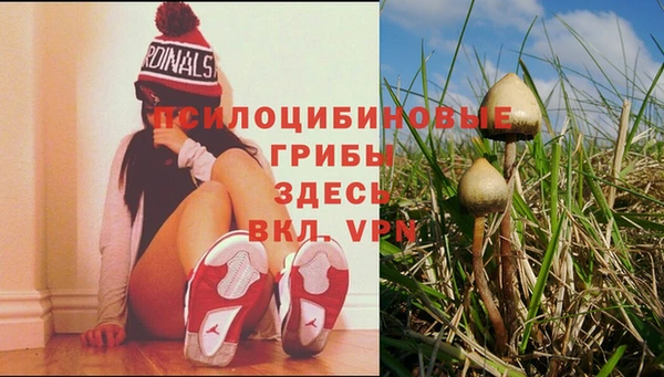 альфа пвп Ростов
